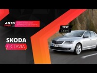 Тест-драйв Skoda Octavia 2013 от АвтоПлюс