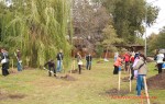 Посади дерево - спаси планету Волгоград Фото 06