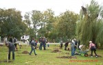 Посади дерево - спаси планету Волгоград Фото 26