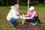 Посади дерево - спаси планету Волгоград Фото 34