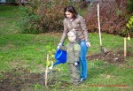 Посади дерево - спаси планету Волгоград Фото 40