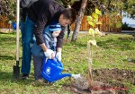 Посади дерево - спаси планету Волгоград Фото 42