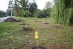 Посади дерево - спаси планету Волгоград Фото 56
