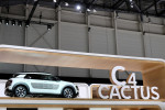 Citroen C4-Cactus Aventure 2014 Фото 22