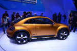 Volkswagen Beetle Dune 2014 Фото  03