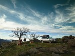 Subaru Legacy Outback 2017 Фото 13