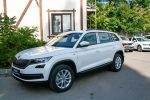 Обзор ŠKODA KODIAQ HOCKEY EDITION: главные преимущества